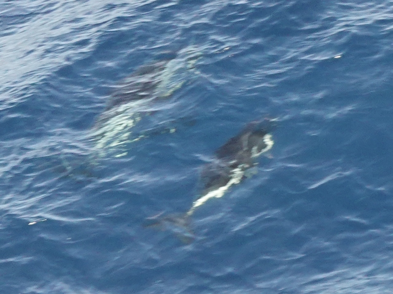 18. März: Kurs Nord