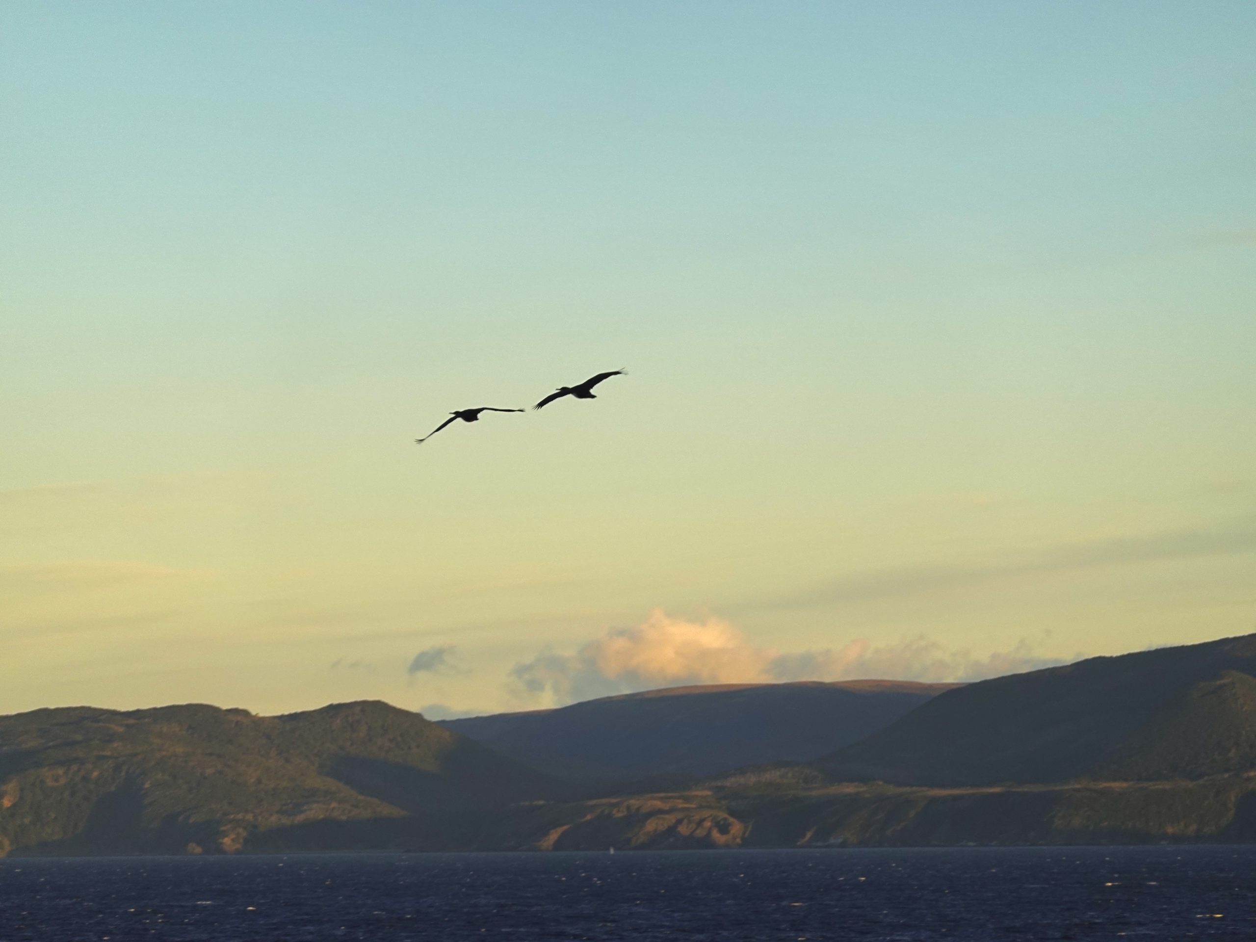 20. März: Beagle-Kanal