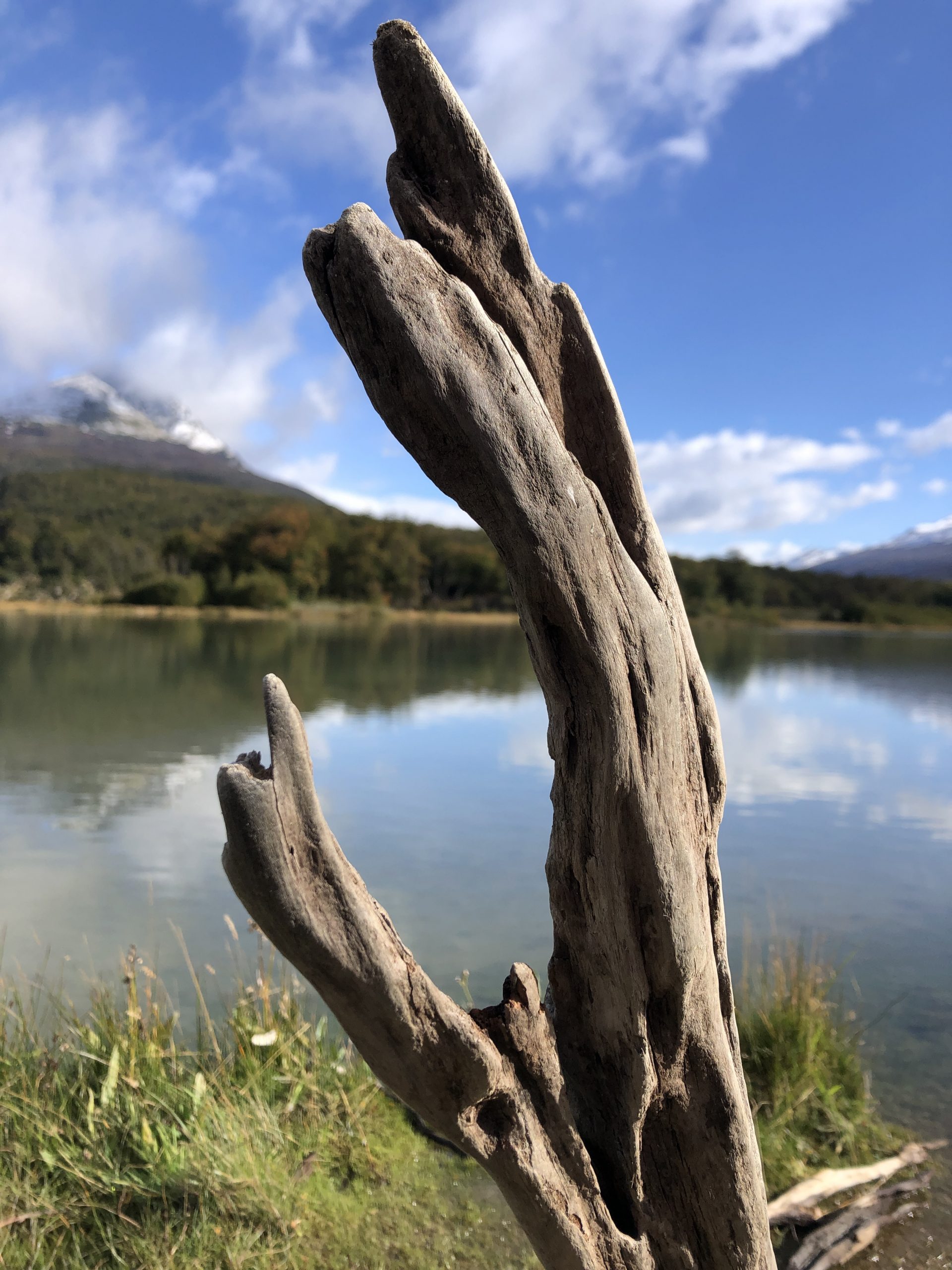 21. März: Ushuaia, Feuerland