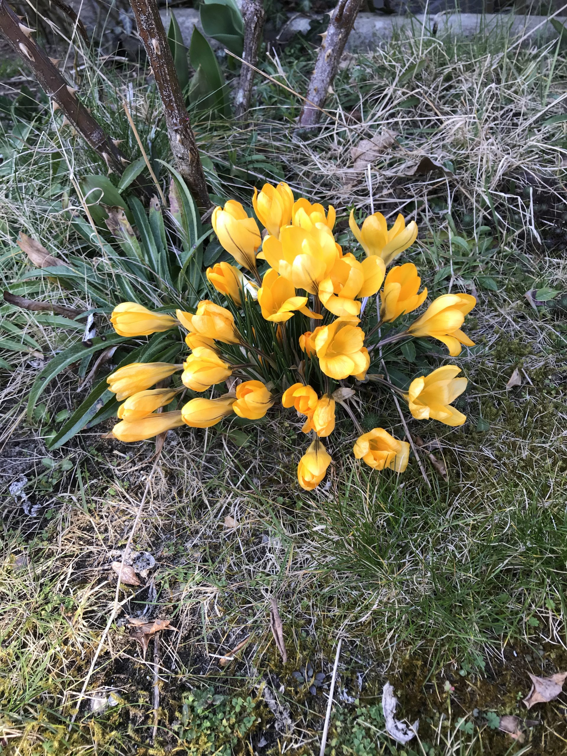 8. März: Heute geht es los